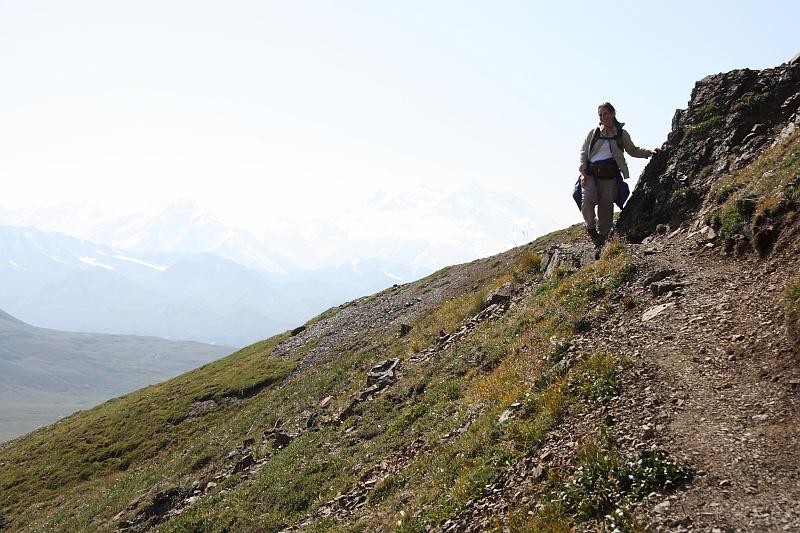 alaska486.JPG - Denali National Park.