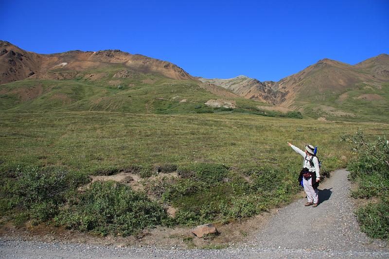 alaska497.JPG - Denali National Park.    L' made me climb up there!