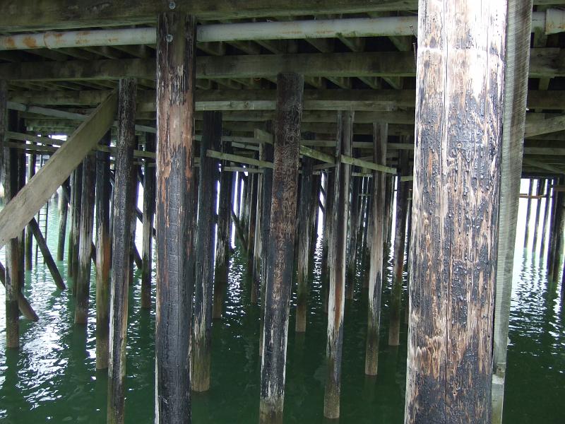alaska689.JPG - Picture of dock.