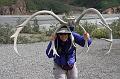 alaska113