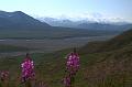 alaska484