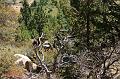 backpacking048
