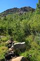 backpacking063