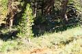 backpacking159
