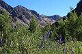 backpacking163
