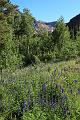 backpacking165