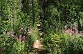 backpacking221