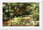 bigbasin_21 * Opal stream. * 1200 x 800 * (553KB)