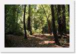 bigbasin_22 * 1200 x 800 * (604KB)
