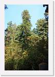 bigbasin_46 * 800 x 1200 * (516KB)