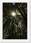 elsereno23 * 667 x 1000 * (410KB)