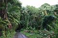 hawaii011