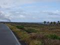 hawaii099