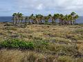 hawaii107