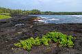 hawaii210