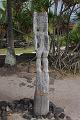 hawaii304
