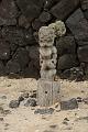 hawaii331