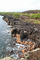 hawaii379
