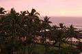 hawaii567