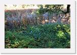 lostrancos15 * Marsh pond.  The plates are separating here.  Water fills in the gap. * 3888 x 2592 * (6.14MB)