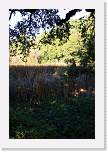 lostrancos16 * Marsh pond.  The plates are separating here.  Water fills in the gap. * 2592 x 3888 * (5.05MB)