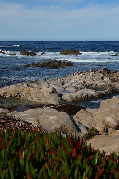 Monterey001.JPG - Wandering along the ocean a couple blocks from our hotel.