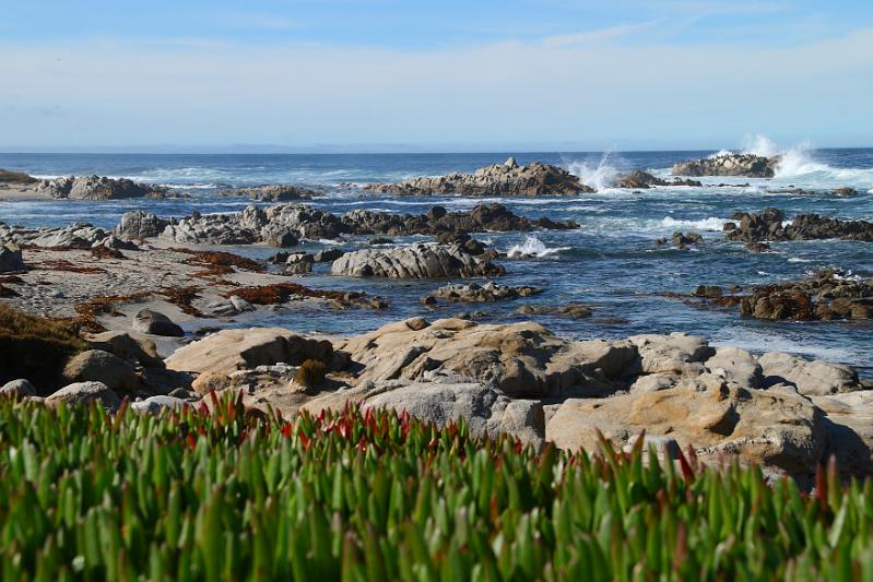 Monterey003.JPG - We stayed in Pacific Grove, which is west of Monterey and north of Carmel.