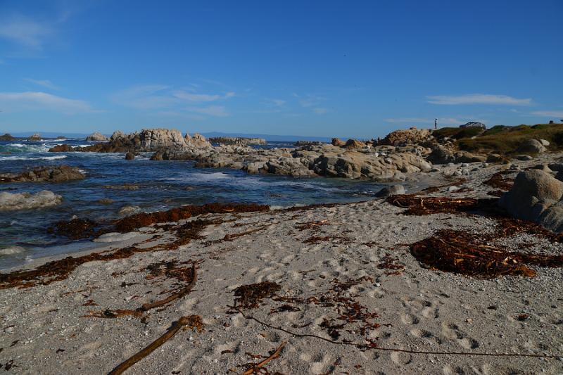 Monterey011.JPG - Saturday was sunny and warm.   You can see my wife and car on the right side.