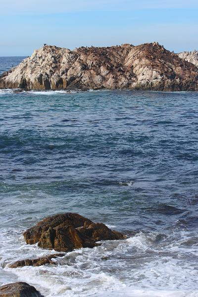 Monterey082.JPG - The rock in the distance is filled with sea lions.