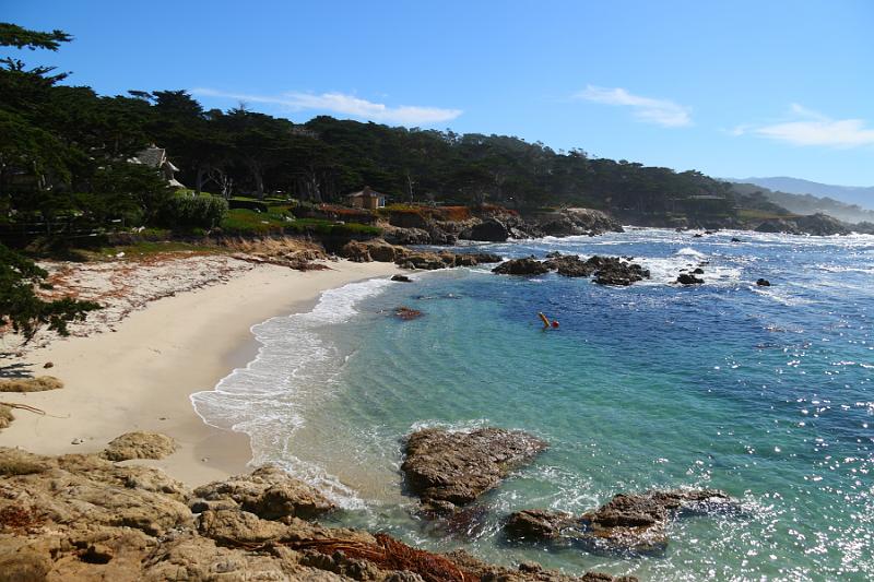 Monterey092.JPG - We're at another stop on 17 mile drive.