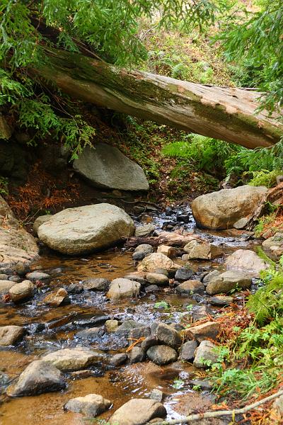 Monterey275.JPG - Garrapata State Park