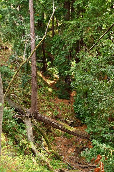 Monterey284.JPG - Garrapata State Park