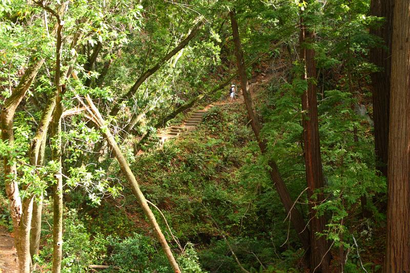 Monterey294.JPG - Garrapata State Park