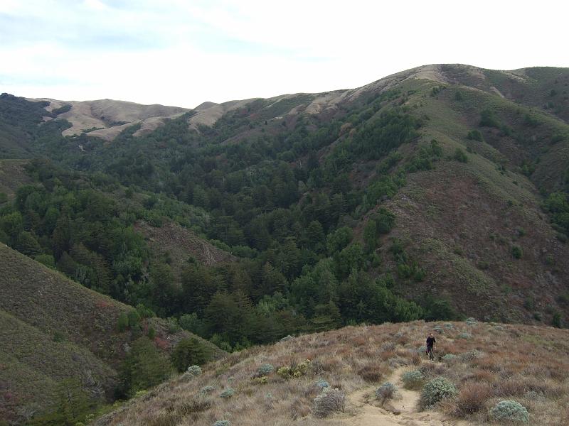 Monterey299.JPG - Garrapata State Park.  We're talking WAY up.