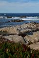 Monterey001