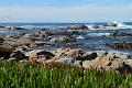 Monterey003