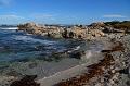 Monterey006