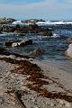 Monterey009