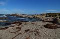 Monterey011