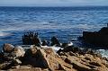 Monterey039