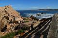 Monterey052