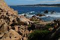 Monterey054