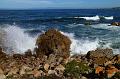 Monterey062