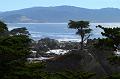 Monterey124