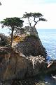 Monterey138