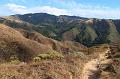 Monterey360