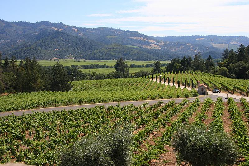 napa20.JPG - View looking at the valley.