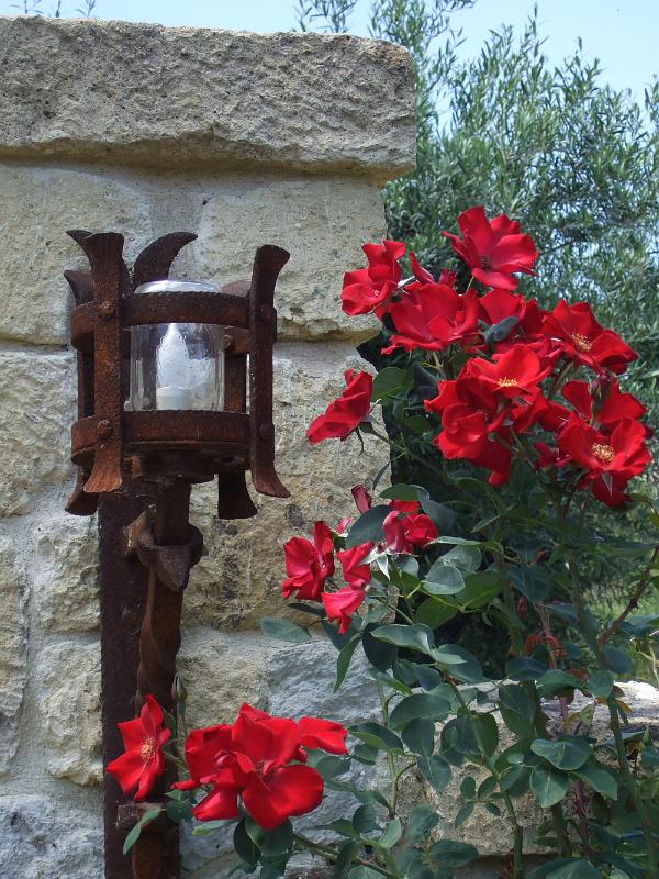 napa34.JPG - Some pretty flowers outside.
