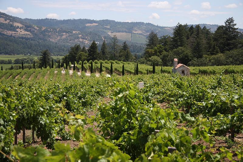 napa45.JPG - Feels like the countryside.