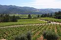 napa20